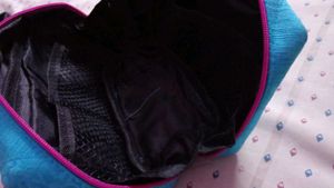 4 compartment blue pouch