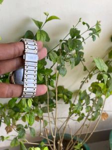 Women's Timex USA Watch