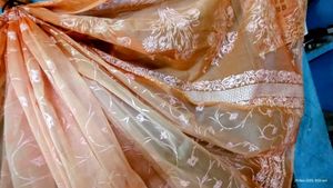 Elegant Peach Saree rubber print