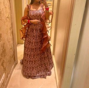 Elegant Ethnic Gown