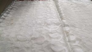 Net Saree