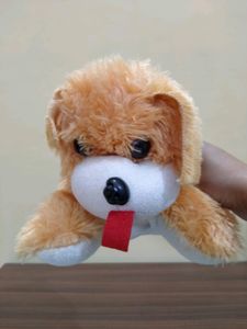 Cute Soft Light Weight Dog