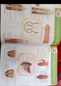 NCERT at your Fingertips - Physics, Chemistry, Bio