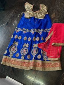Blue Embroidered Lehenga Choli