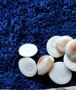 Original Lakshmi Gomati Chakra 21 Pcs Pujan Stones