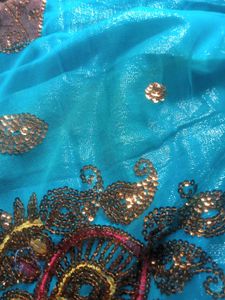 Teal &amp; Gold Embroidered Saree