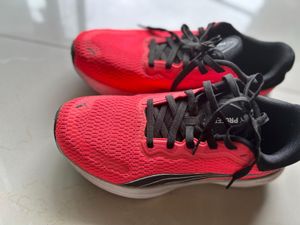 Puma Neon Pink Sport Shoes