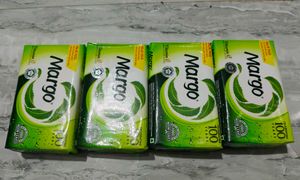 Body soaps