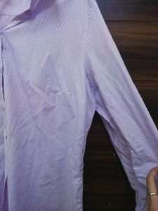 purple striped shirt