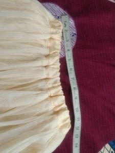 Long Skirt Full Flair Net