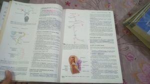 Disease Of Ear Nose And Throat &amp;Head Nd Neck