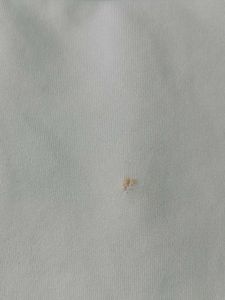 Cute Light Blue Crop Top