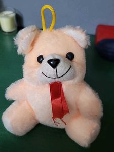 Cute Plush Teddy Bear