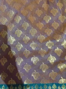 Saree With Designer Blouse