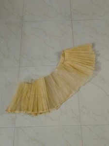 Mesh Can-Can Skirt