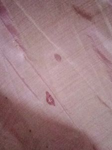 Cute Pink western Dress with pant