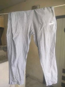Puma Gray Track Pants New