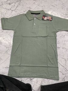 Big Brand Sage Green Polo Shirt