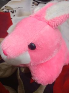 Cute Pink Softoy