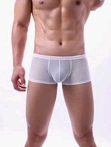 Men&#39;s White see through  briefs