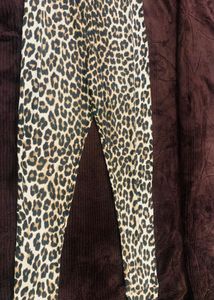 Cheetah Skin Activewear Pants – Khaki Dominant |