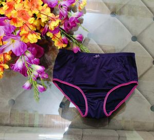 💖Purple & Pink Trim Panties
