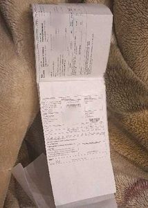 Campus White Sneakers yoga advance max insole