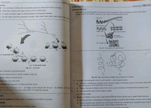 Aakash Mind Map Like Diagram Book Neet