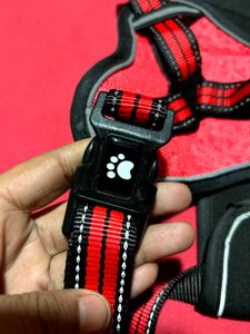 Dog Harness with Leash – Size L