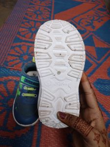 Sydney Fashion Sneakers For Boys