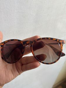 Sunglasses - Brown Tint