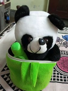 Baby Plush Toys