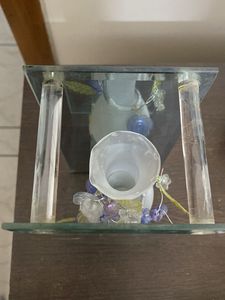 Aesthetic 3D Glass Flower vase- Back In Stock!