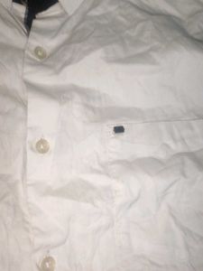 True blue branded l size  Shirt