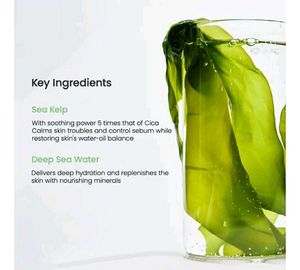 🧜‍♀️Biodance Sea Kelp Deep Mask