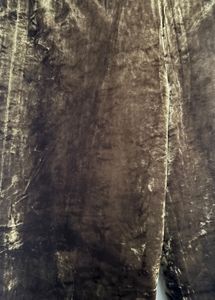 Velvet Brown Pants