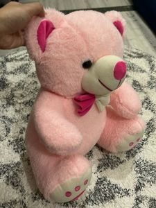 Pink Teddy Bear
