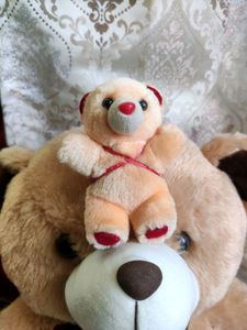 Teddy Bears 🐻🐨