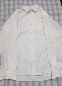 Office Wear! 1 Set Of Shirt and Pant