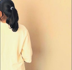 Beige Plain Crop Top