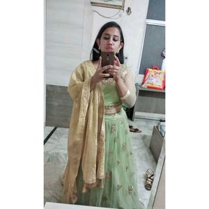 Elegant Green &amp; Gold Embellished Pehenga