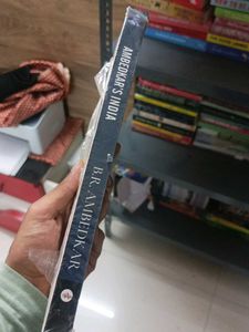 Ambedkar&#39;s India