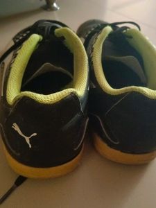 Puma Non Marking Shoes UK7