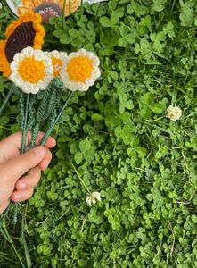 Customised Handmade Crochet Daisies🌼