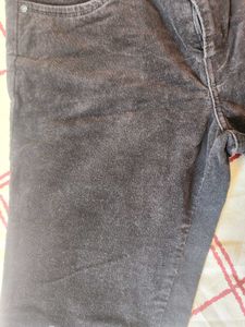 Codra Pant
