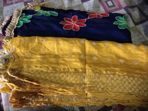 Punjabi Fulkari Dupatta Combo