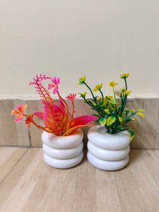 3 Inches Dry Flower Pot.