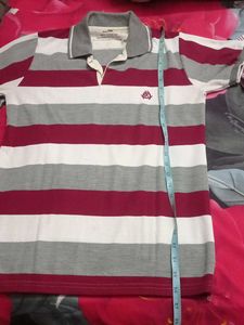 Combo Of Tshirt For Men