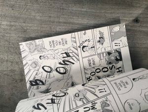 Pokemon Zoroark - manga, comic, novel, book