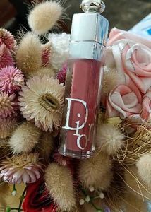 Dupe Dior Addict Lip Maximizer Plumper
